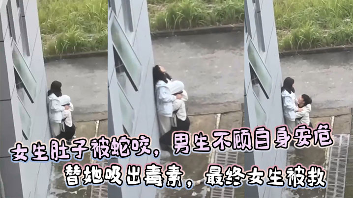 女生肚子被蛇咬男生不顾自身安危替她吸出毒素最终女.生被救