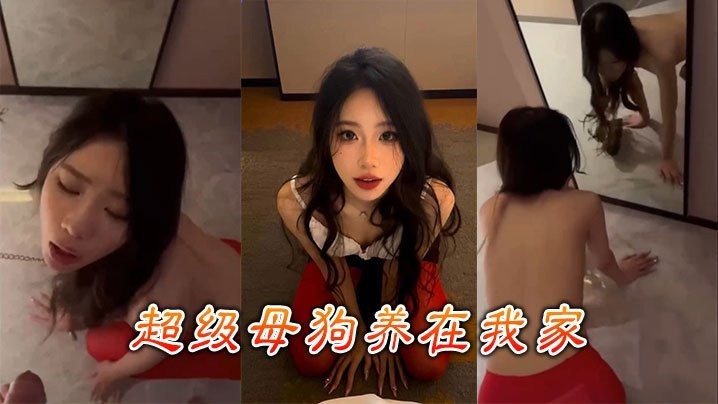 超级母狗养在我家