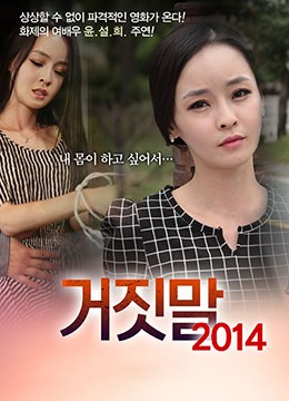 谎言2014